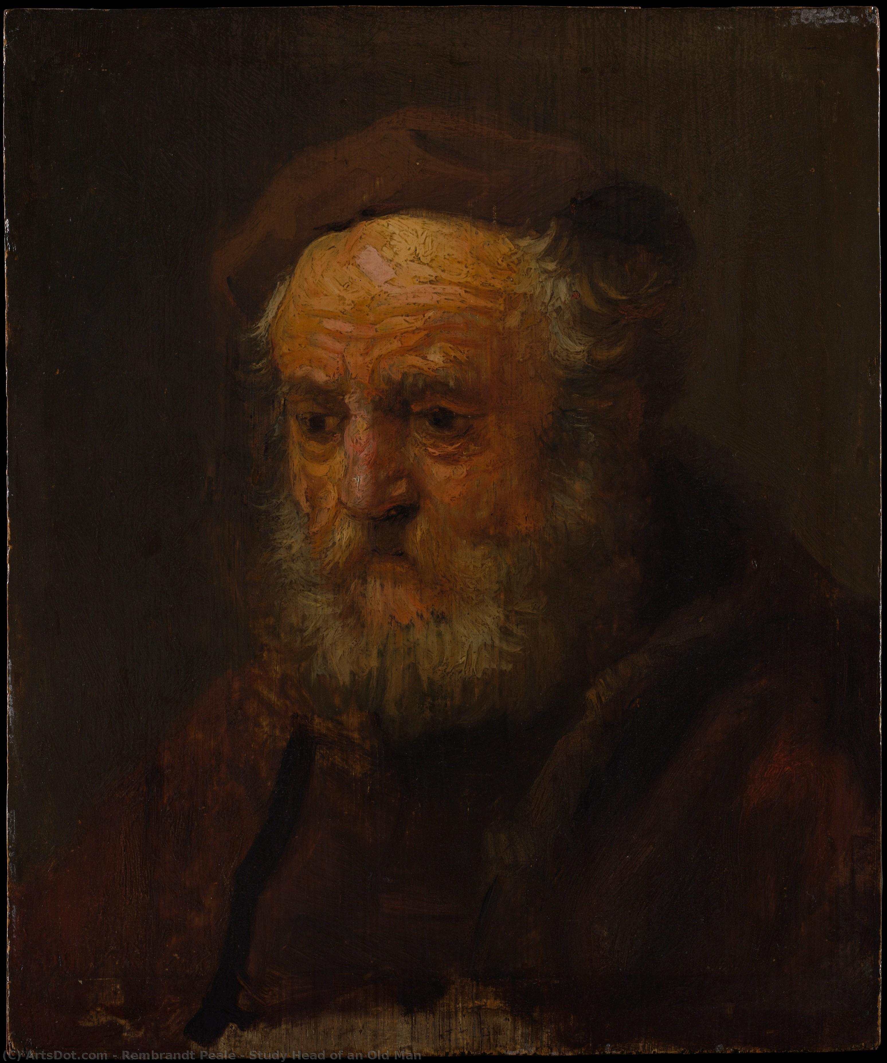 Study Head Of An Old Man — Рембрант Пил