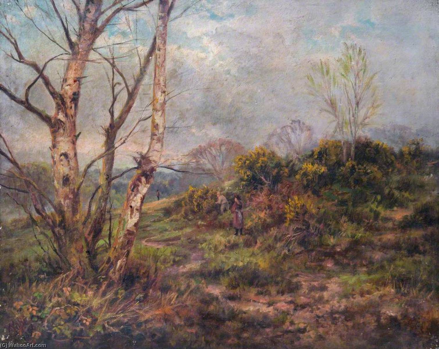 Addington Hills, Croydon, Surrey, April 1896 — William Henry Hope