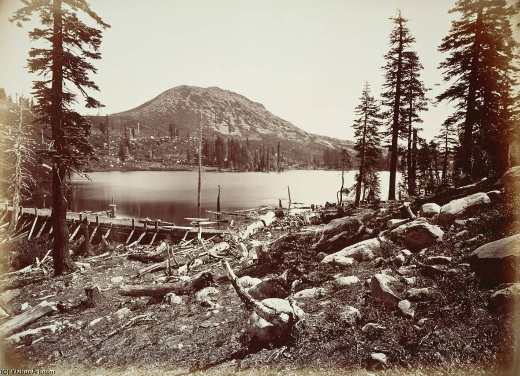 Untitled (aqtdlb) — Carleton Watkins