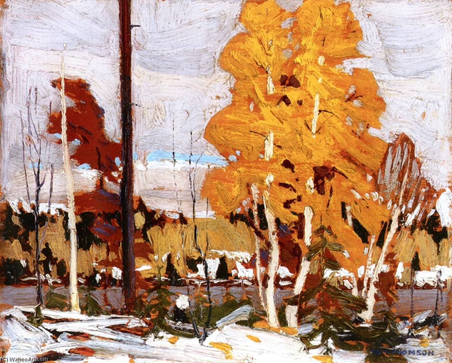 Near Grand Lake, Algonquin Park — トム・トムソン