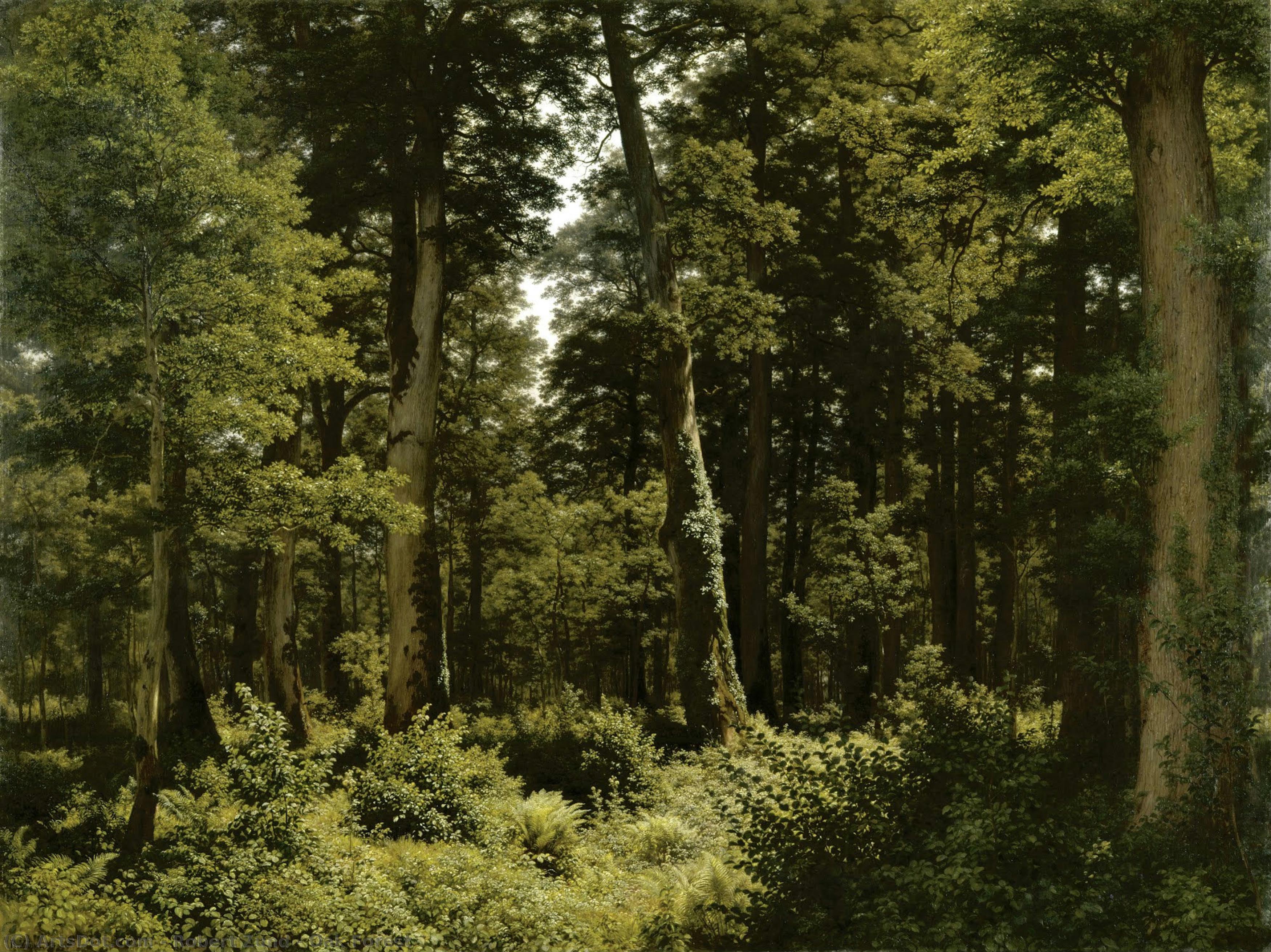 Oak Forest — Роберт Цунд