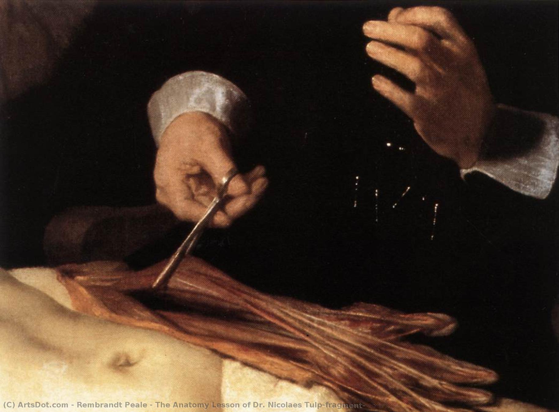 The Anatomy Lesson Of Dr. Nicolaes Tulp(fragment) — Rembrandt Peale