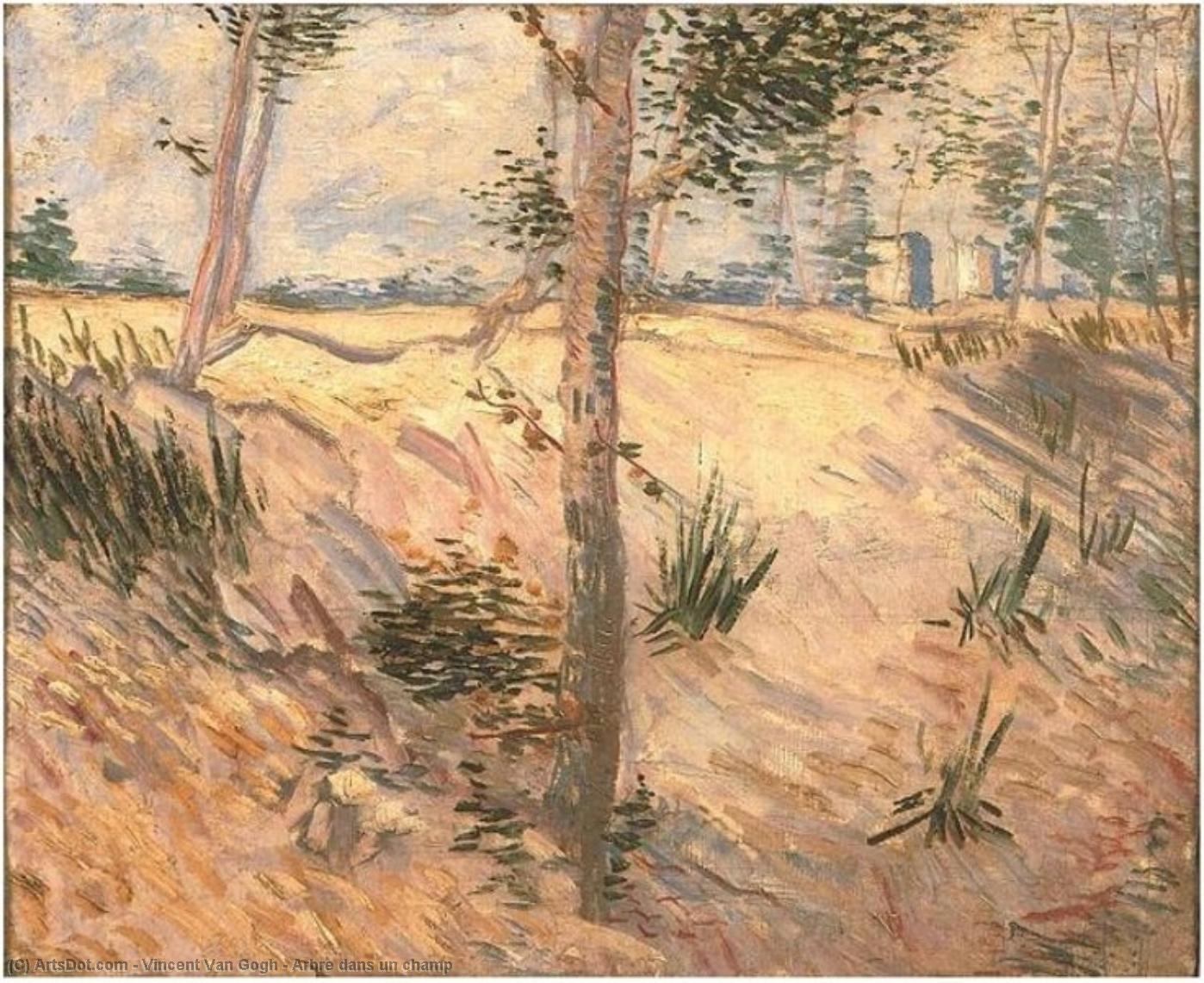 Árbol En Un Campo — Vincent Willem Van Gogh