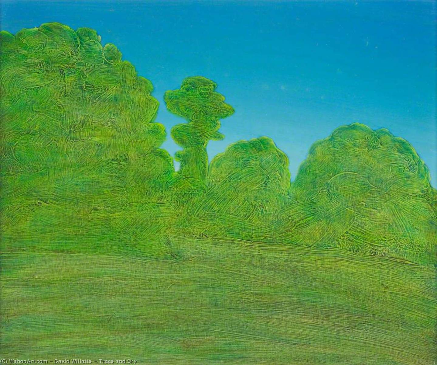 Trees And Sky — David Willetts