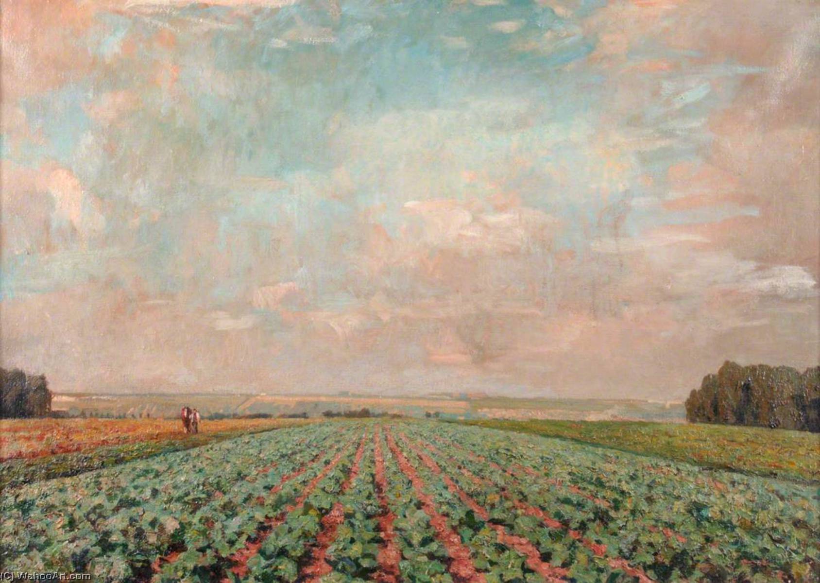 Cabbage Field On The Farm At St James' Hospital — Edward Robert King