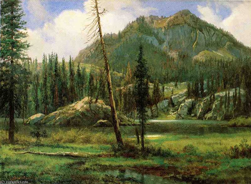 Sierra Nevada Mountains — Albert Bierstadt