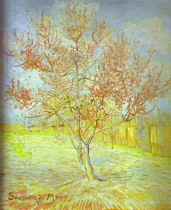 Peach Tree In Bloom. (in Memory Of Mauve) — Vincent Van Gog