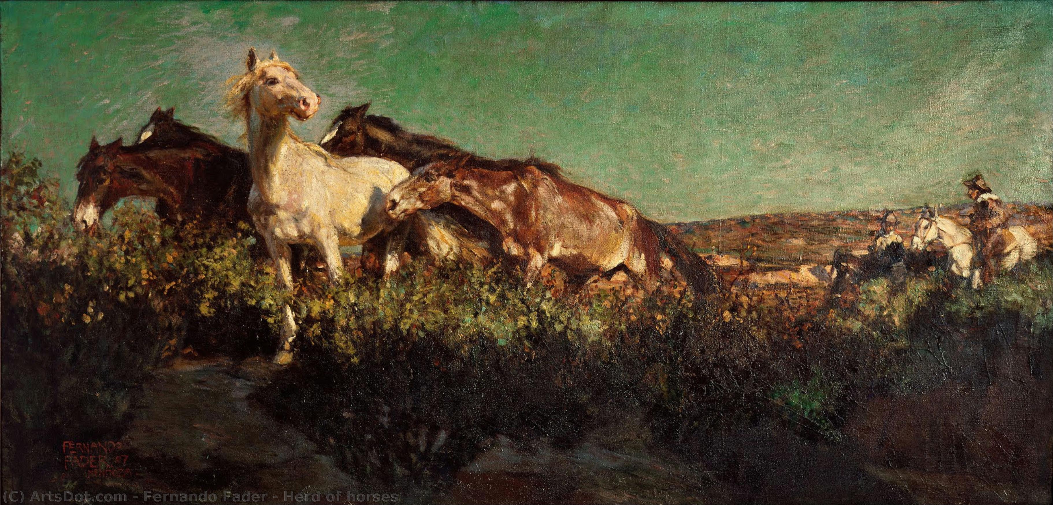 Herd Of Horses — Fernando Fader