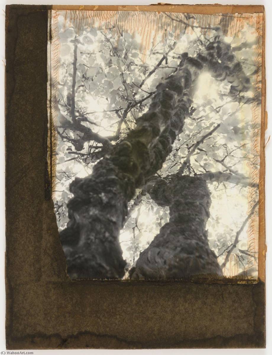 Les Constellations Voisines Du Pole — Joseph Cornell