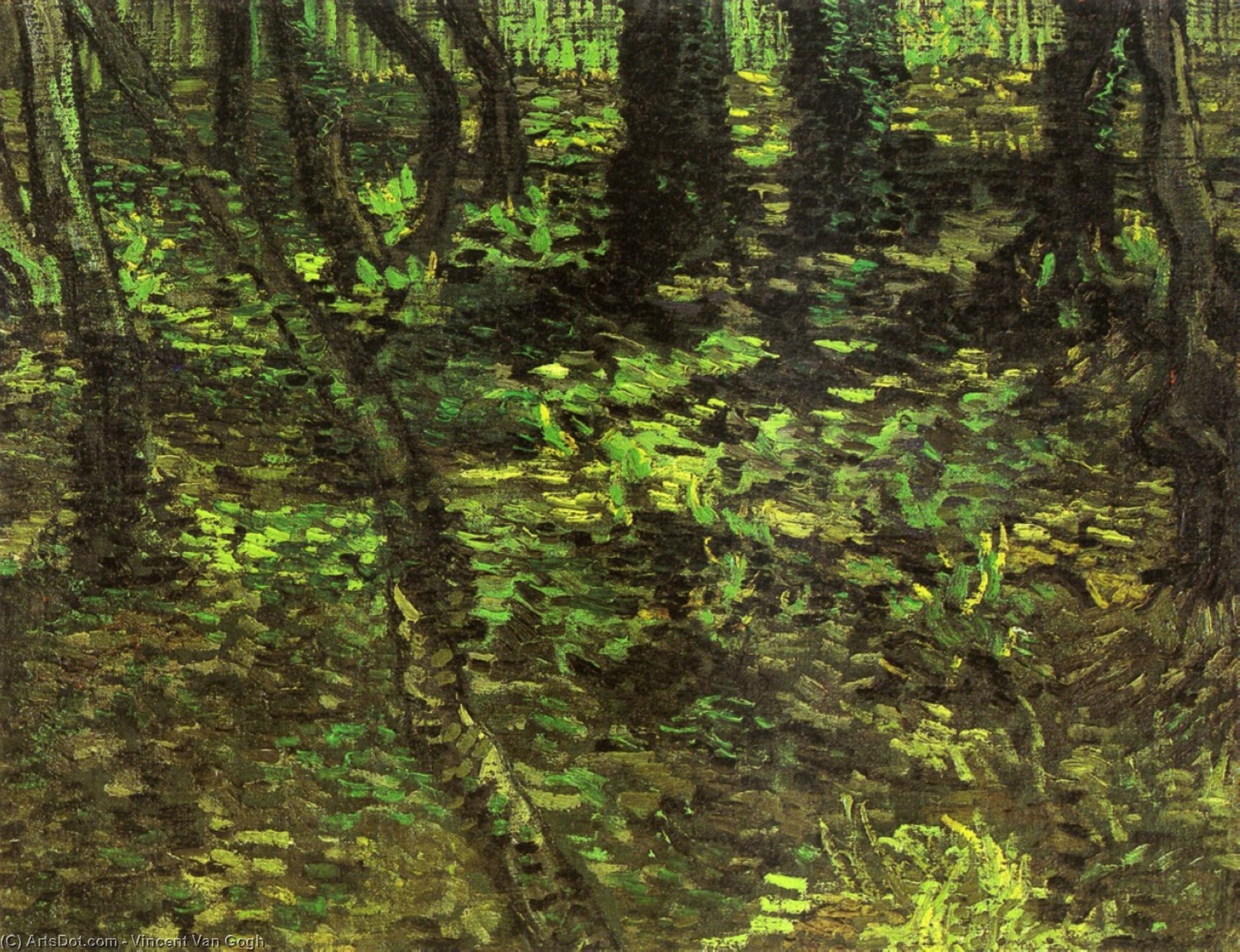 Undergrowth With Ivy — Vincent Willem Van Gogh