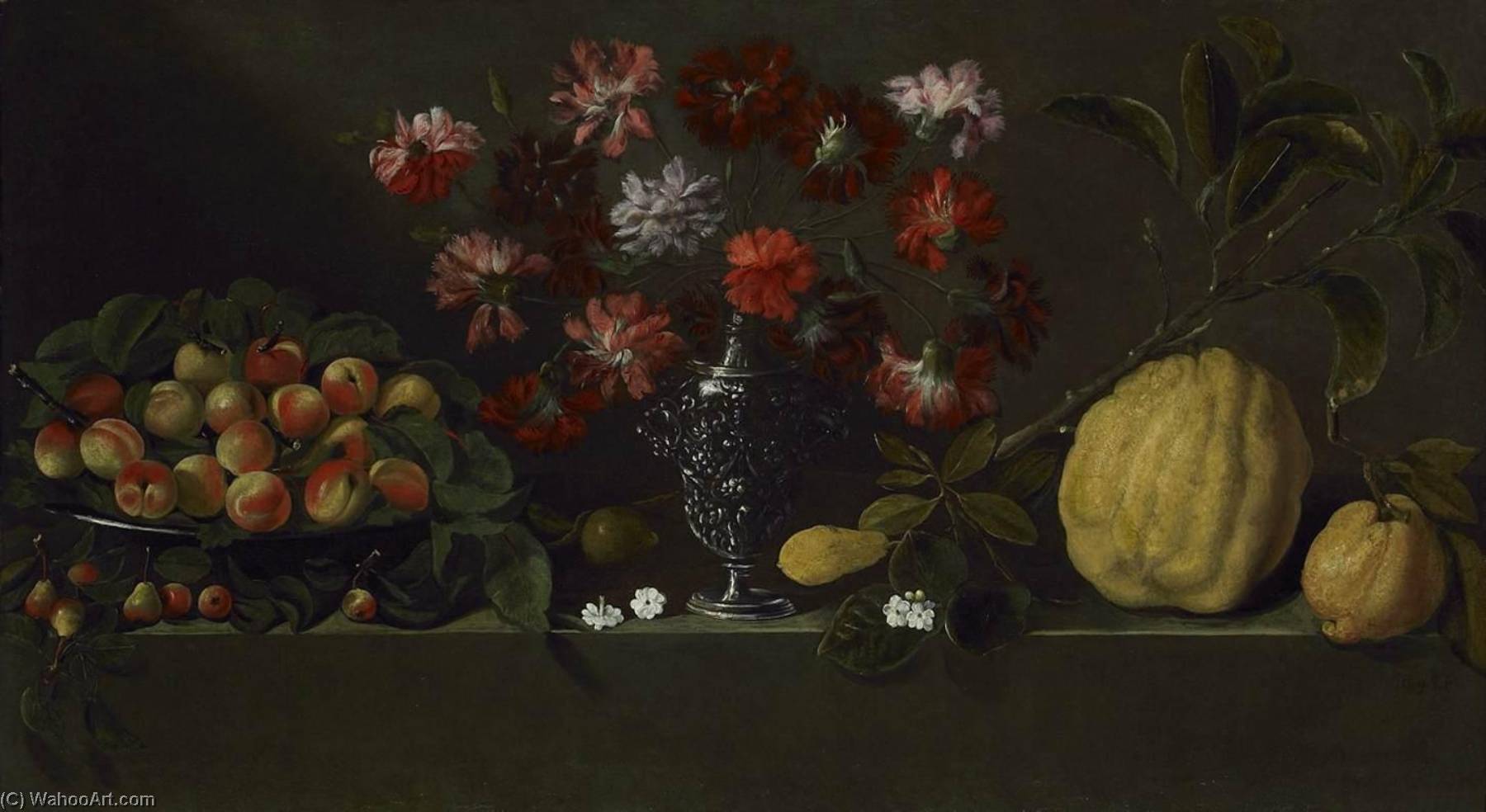 Still Life — Giovanni Quinsa