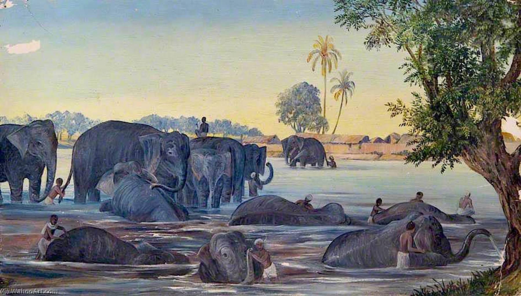 Elephants — Marijana Nort
