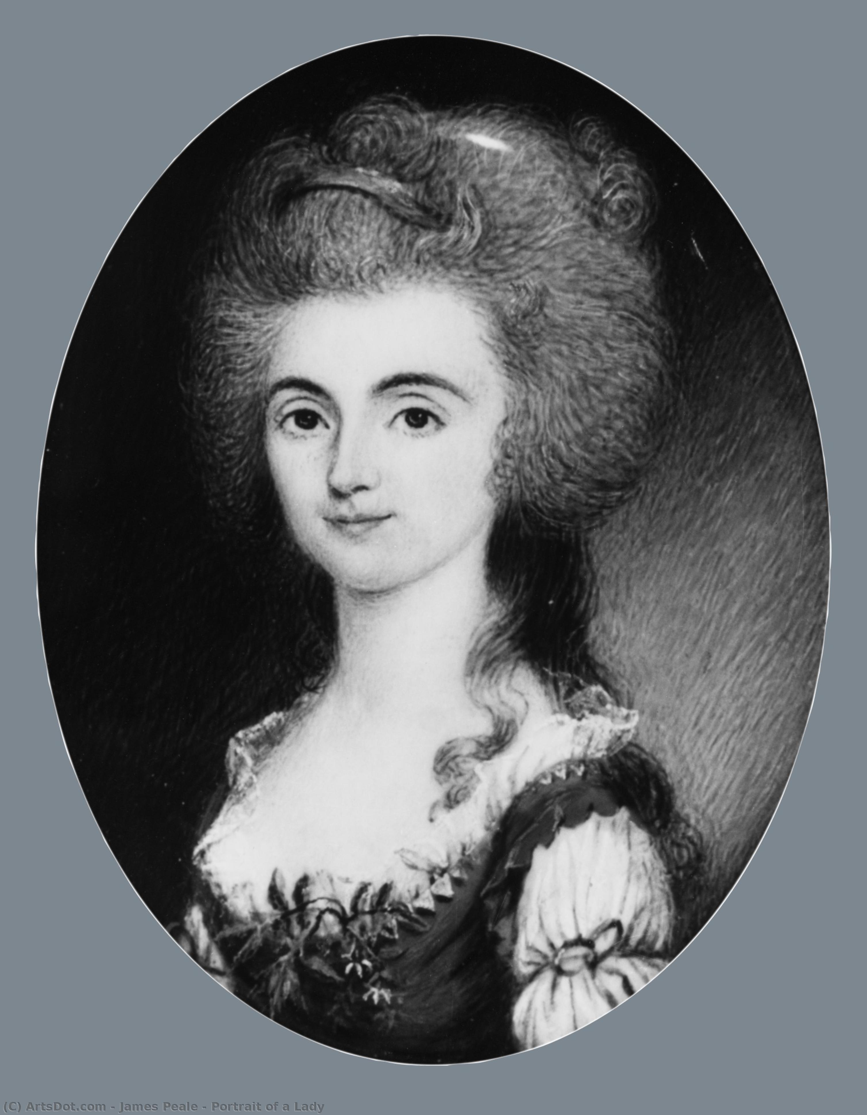 Portrait Of A Lady — James Peale