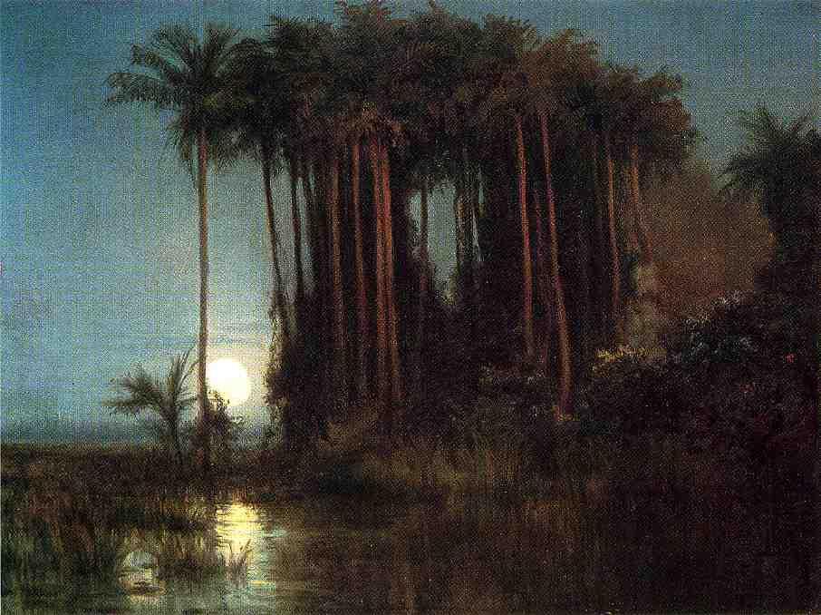 Moonlight Over A Marsh In Ecuador — Louis Remy Mignot