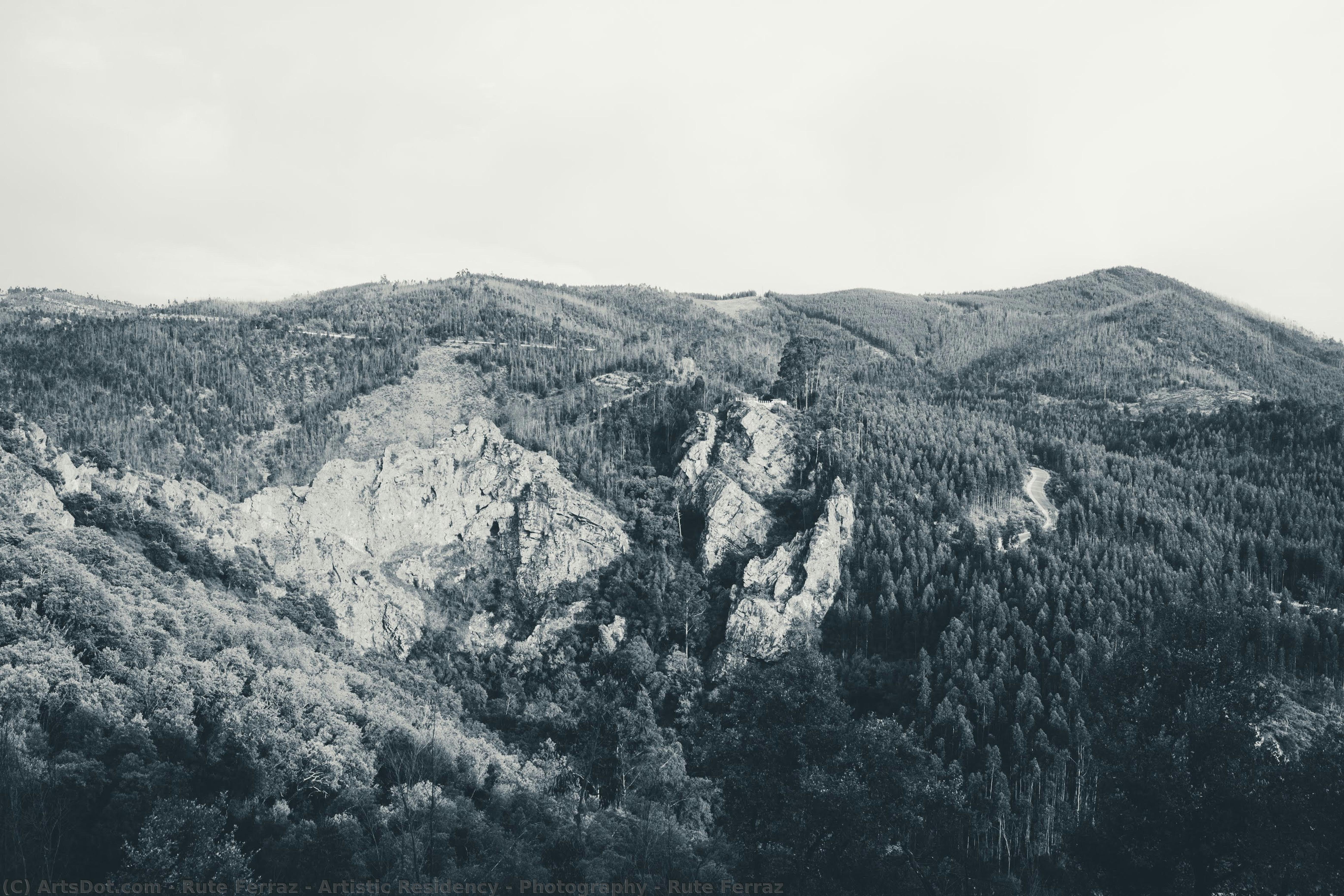 Artistic Residency - Photography - Rute Ferraz — Rute Ferraz