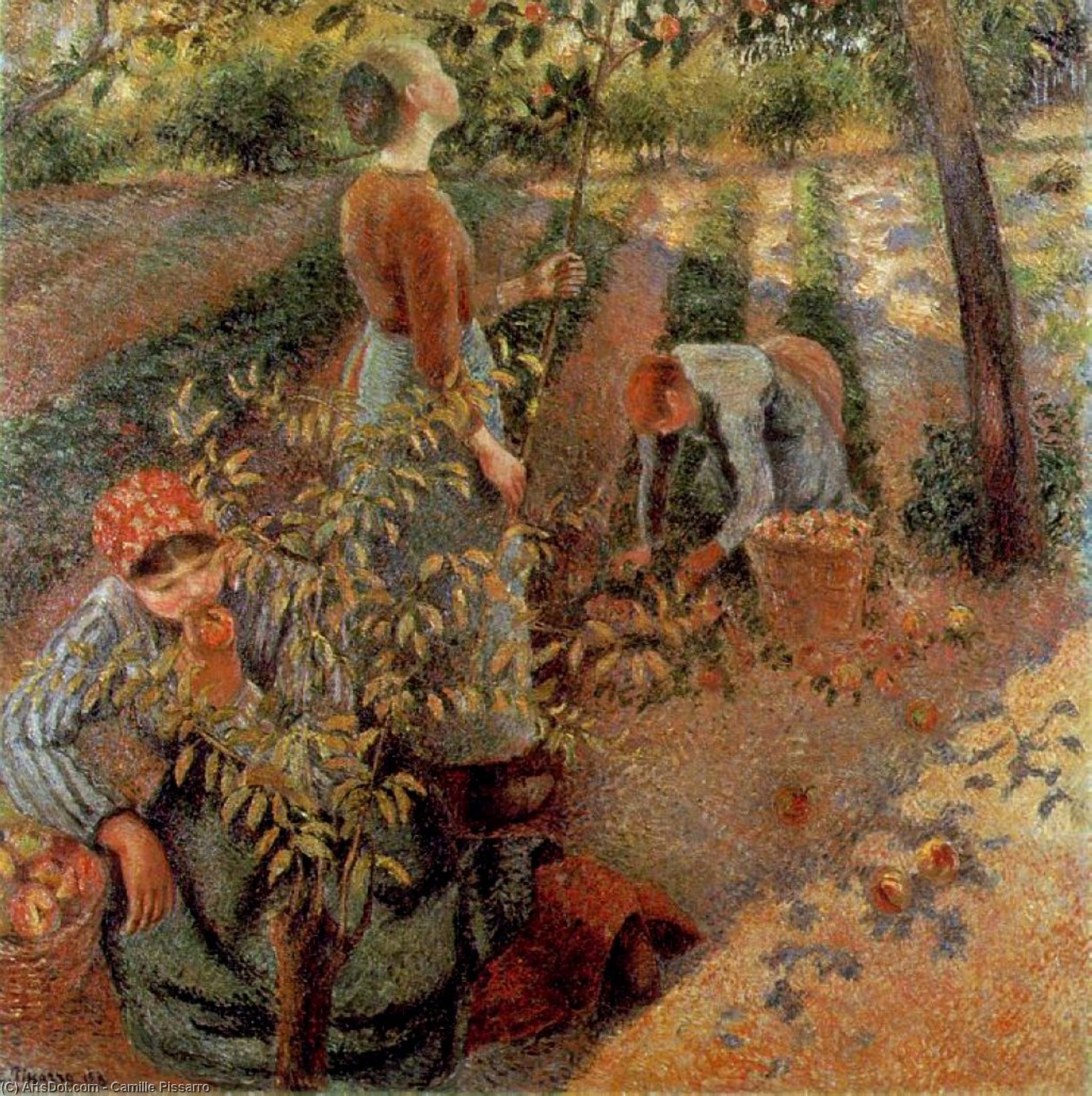 Die Apfelpflückerinnen — Camille Pissarro