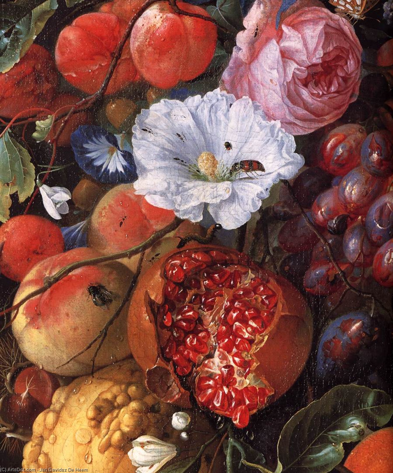 Festoon Of Fruit And Flowers (detail) — Jan Davidsz. De Heem