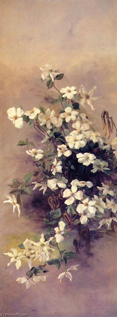 Madrone, Dogwood And Elderberry (ii) — Abbey Williams Hill