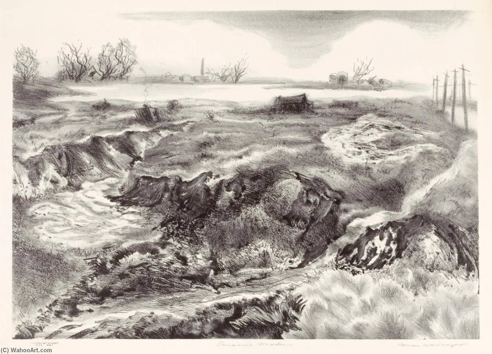 Carnasie Meadows — Hyman J Warsager