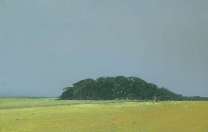 Large Harvest Field And Woods Near Happisburgh, Norfolk — Colin Self