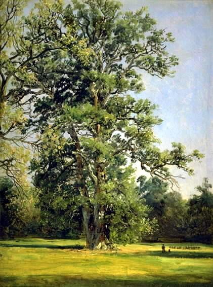 An Oak. View Of The Garden At Wörlitz Near Dessau — Johan Christian Claussen Dahl