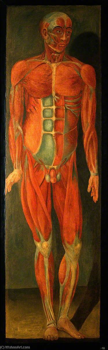 A Standing Man, Facing To His Left, Showing Superficial Muscles And Tendons — Jacques Fabien Gautier Dagoty