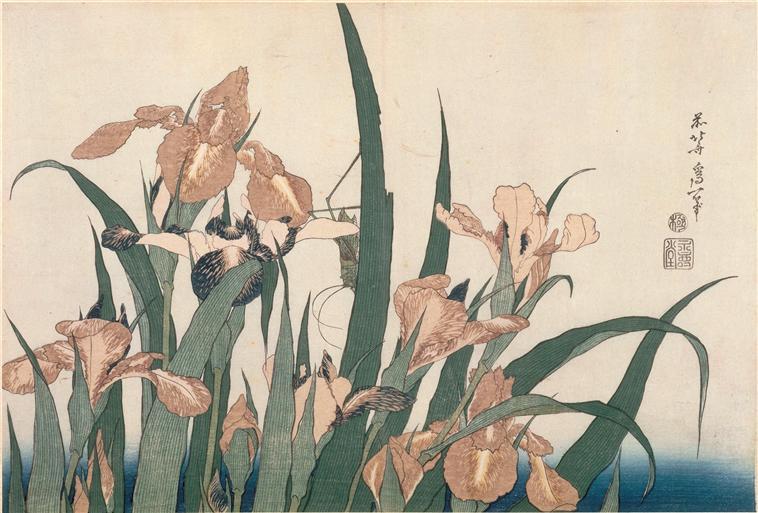Irises And Grasshopper — Katsushika Hokusai