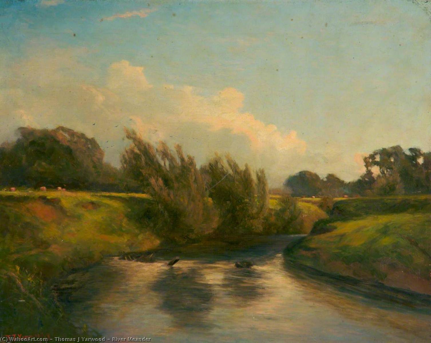 River Meander — Thomas J Yarwood