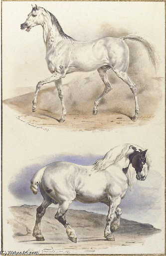 An Arab Stallion And A Carthorse — Edouard Traviès