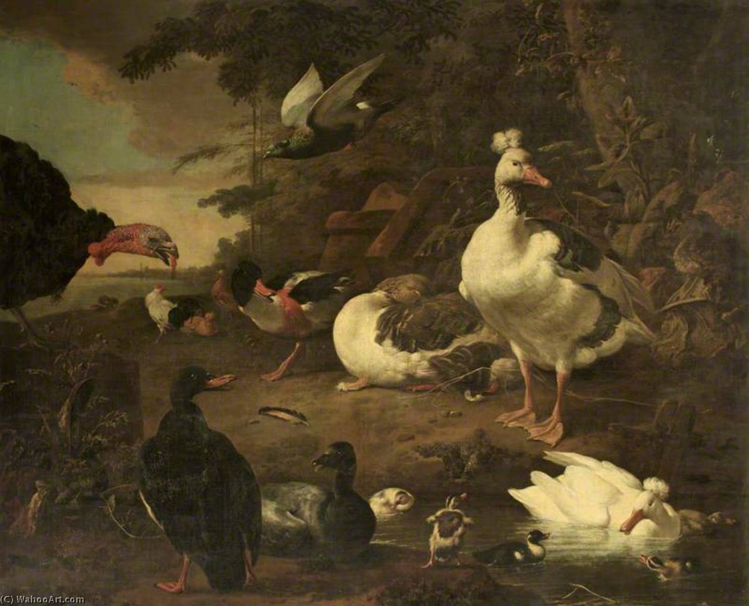 Turkey, Geese, A Shelduck, And Other Fowl, In A Landscape With A Stream — Melchior De Hondecoetter