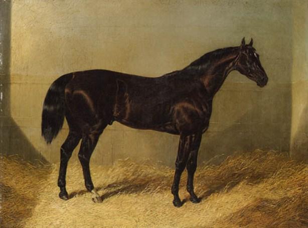 The Saddler, A Dark Bay Racehorse, In A Stable — John Frederick Herring Senior
