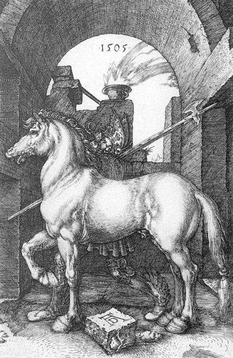 Small Horse — Albrecht Dürer