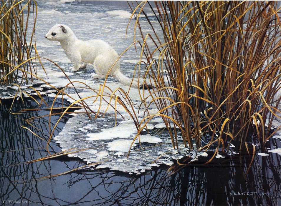 Untitled (771) — Robert Bateman