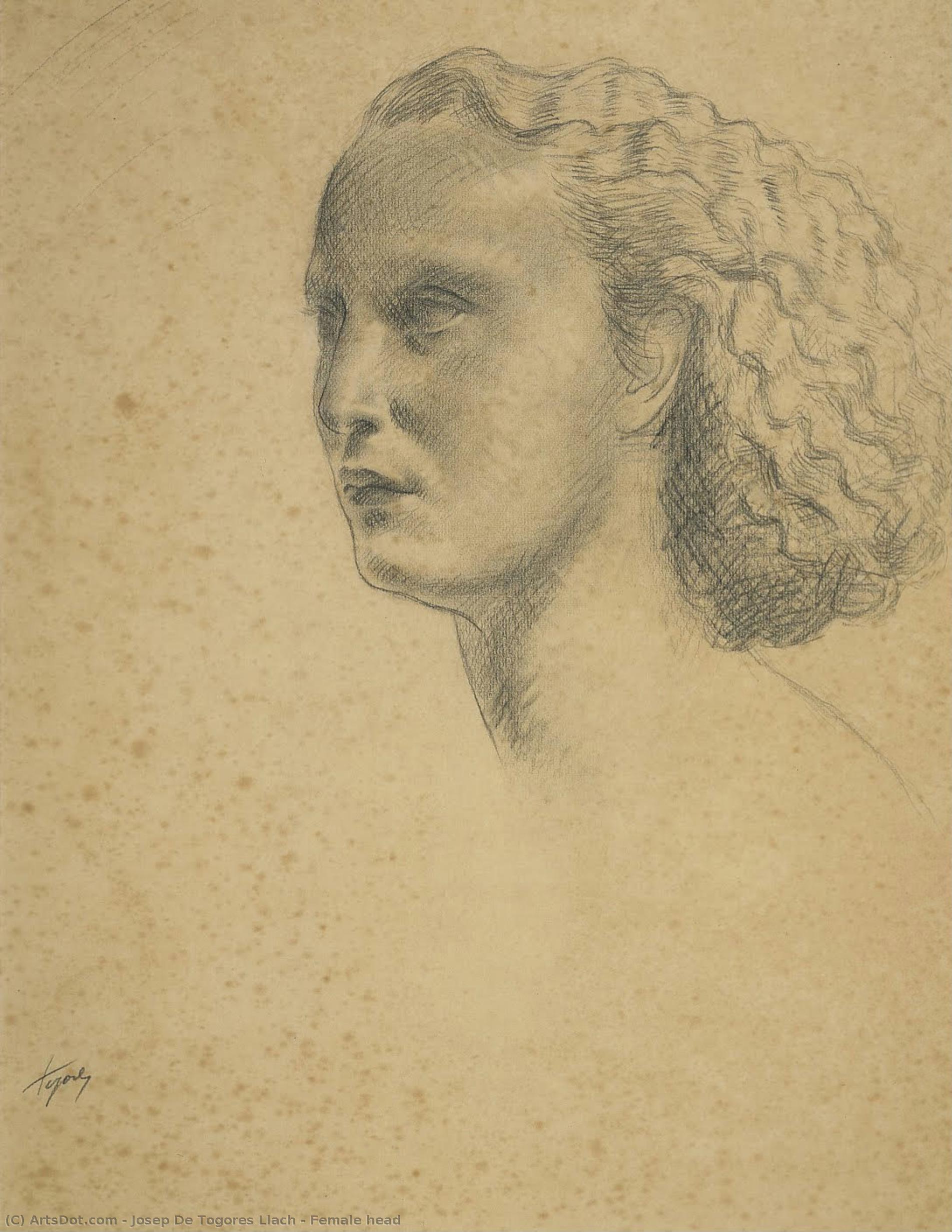 Female Head — Josep De Togores Llach