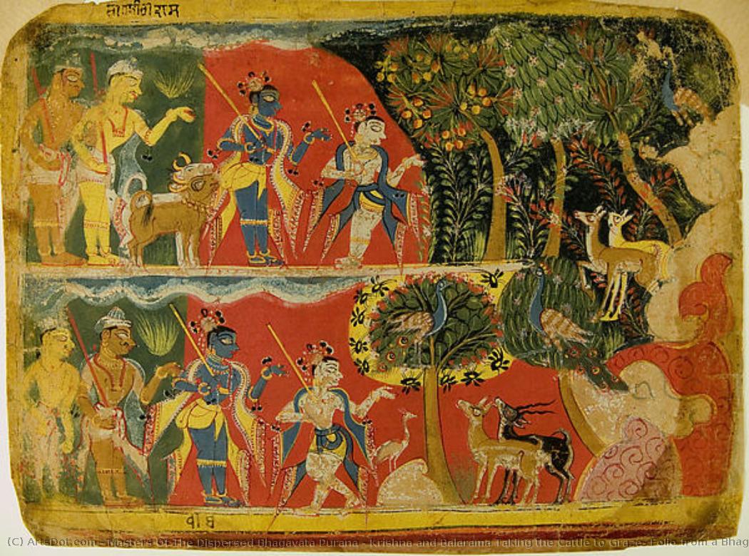 Krishna And Balarama Taking The Cattle To Graze: Folio From A Bhagavata Purana Manuscript — Masters Of The Dispersed Bhagavata Purana