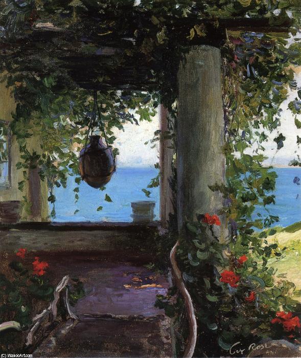 La Jolla Arbor — Gaj Orlando Rouz