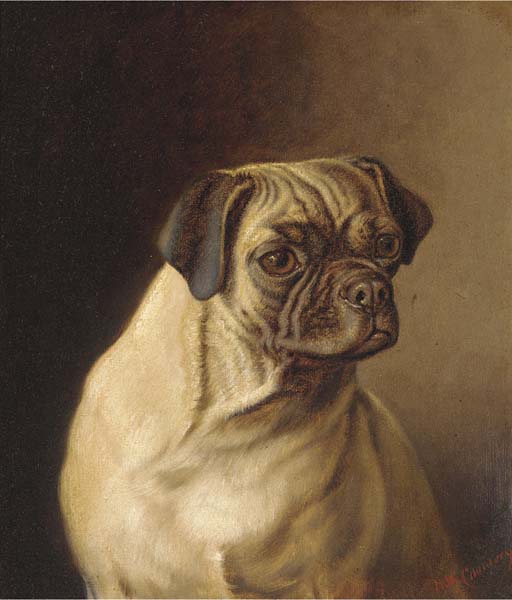 A Pug — Horatio Henry Couldery