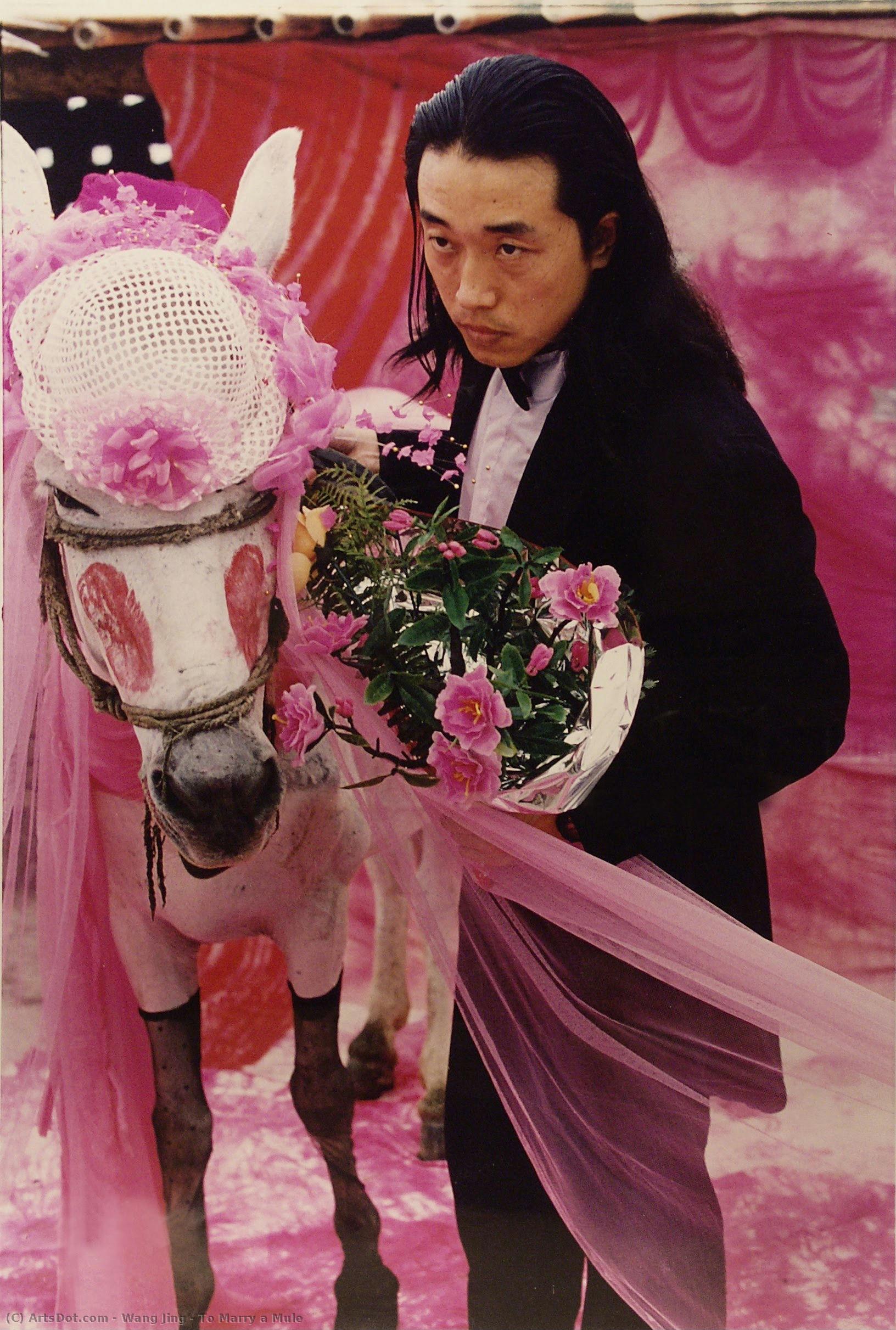To Marry A Mule — Wang Jin