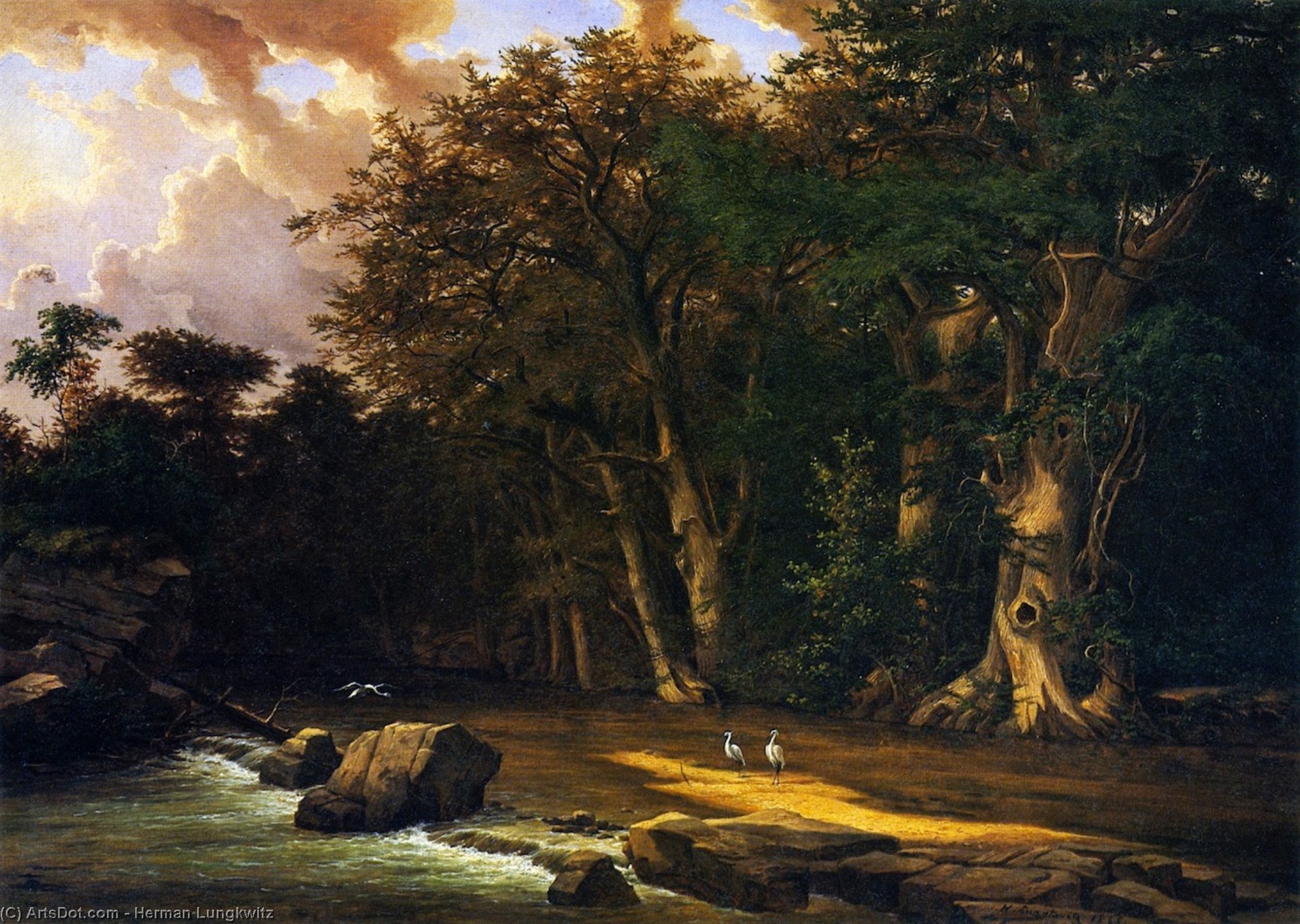 Herons On The Pedernales River — Herman Lungkwitz