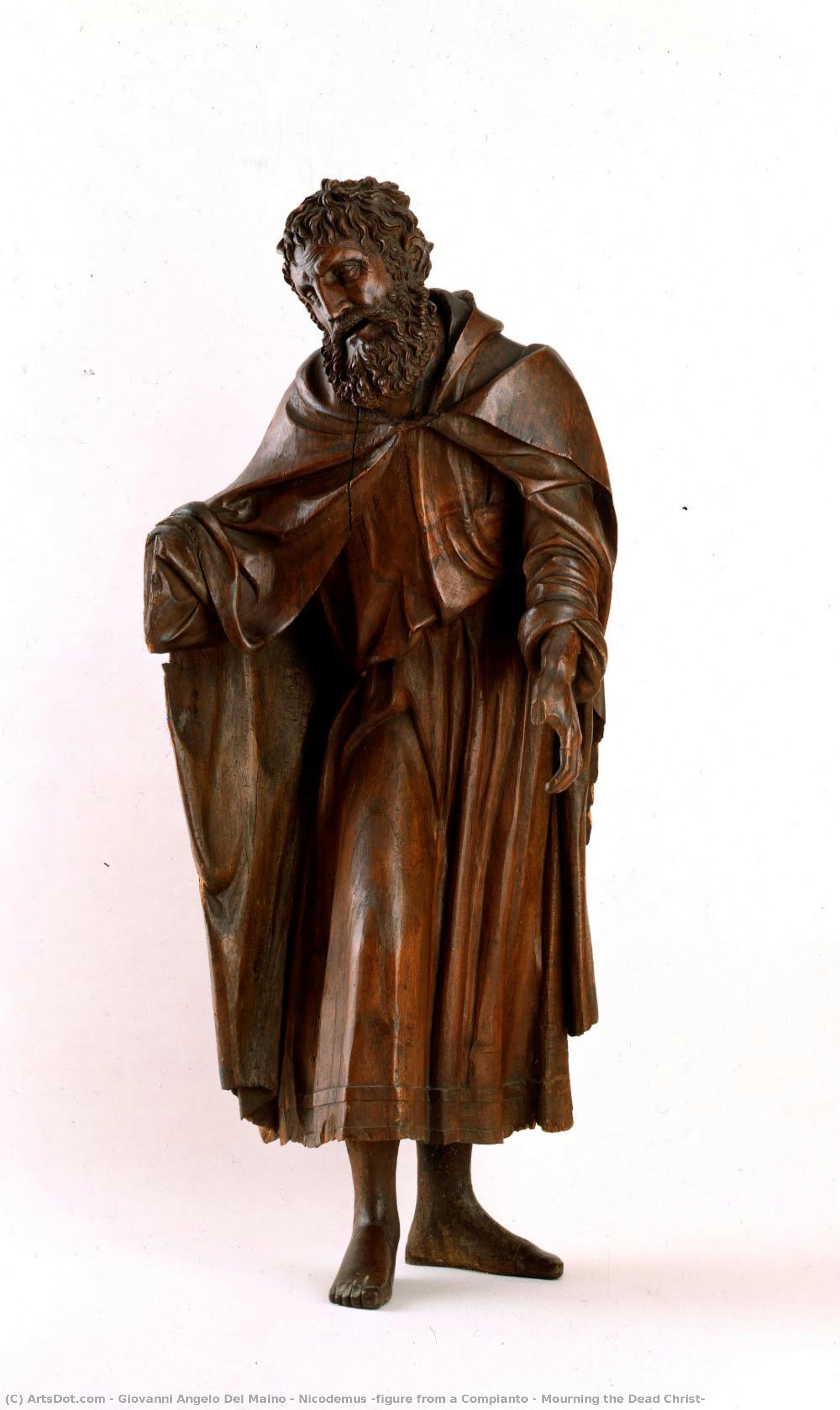 Nicodemus (figure From A Compianto - Mourning The Dead Christ) — Giovanni Angelo Del Maino