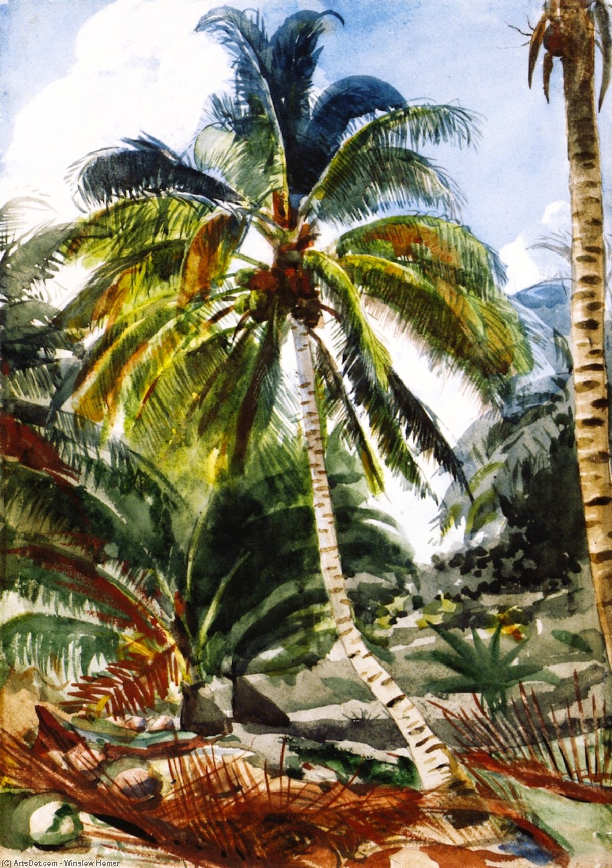Palm Trees, Bahamas — Винслоу Хомер