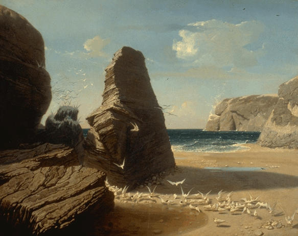 Les Petites Mouettes Rivage De Belle Isle En Mer, Port Donan (morbihan) — Penguilly L'haridon Octave
