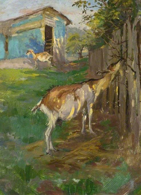 Goat Browsing At A Fence — Kate Ethel Cowderoy