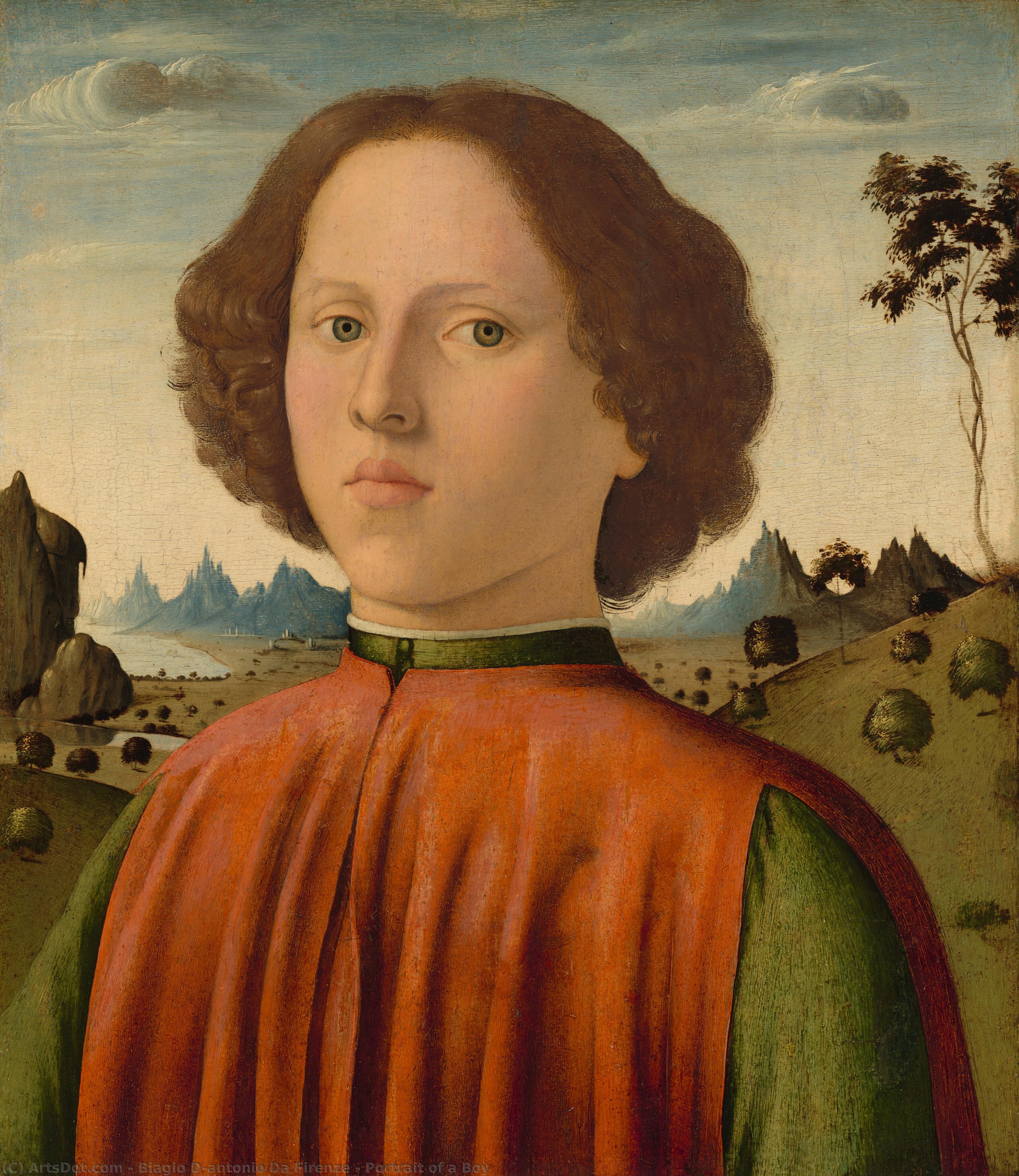 Portrait Of A Boy — Biagio D'antonio Da Firenze