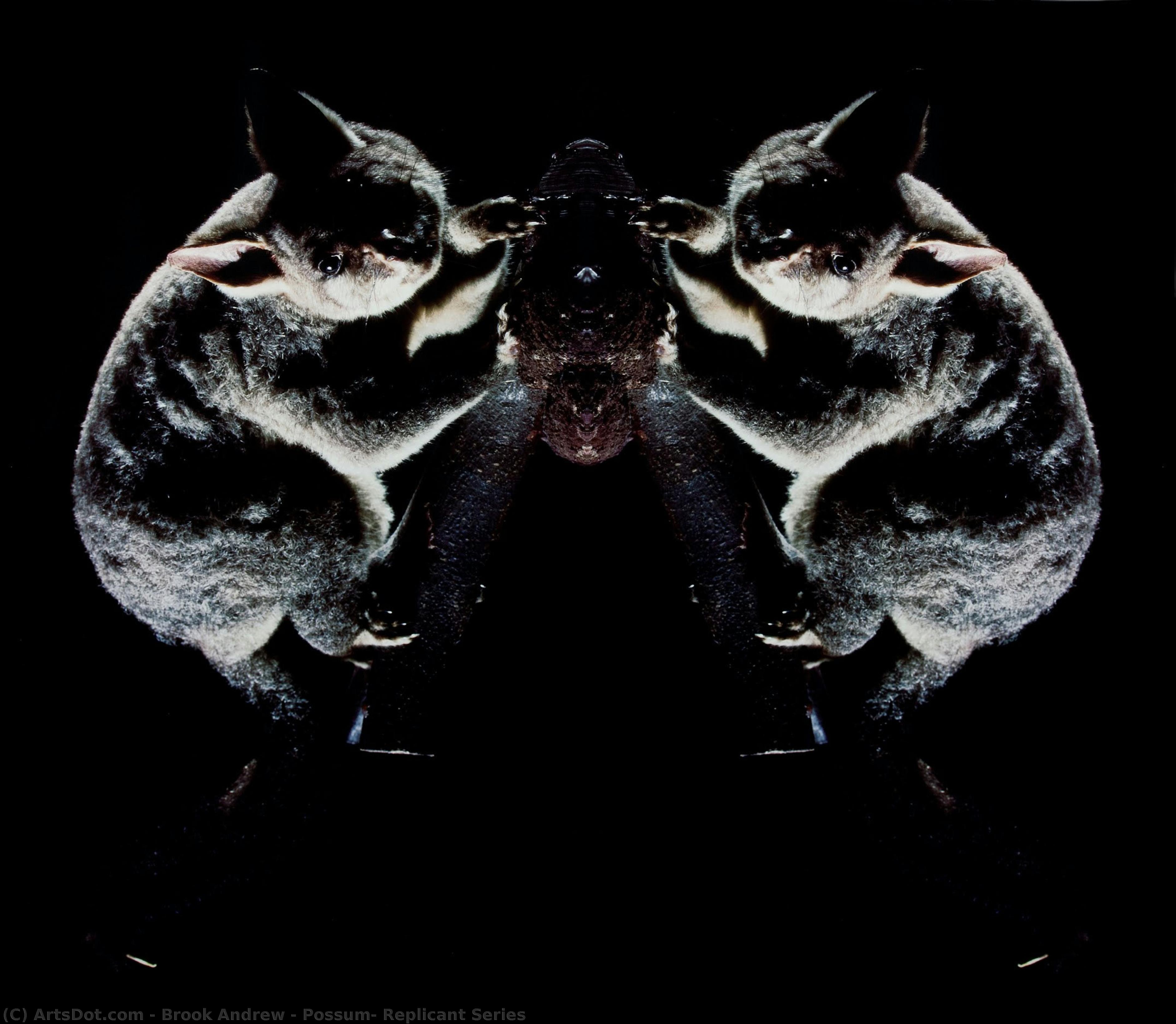 Possum, Replicant Series — Brook Andrew