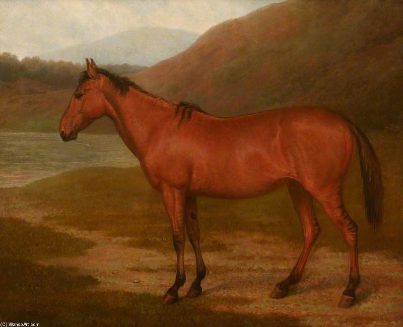 Foal Of Mare And Quagga — Jacques Laurent Agasse
