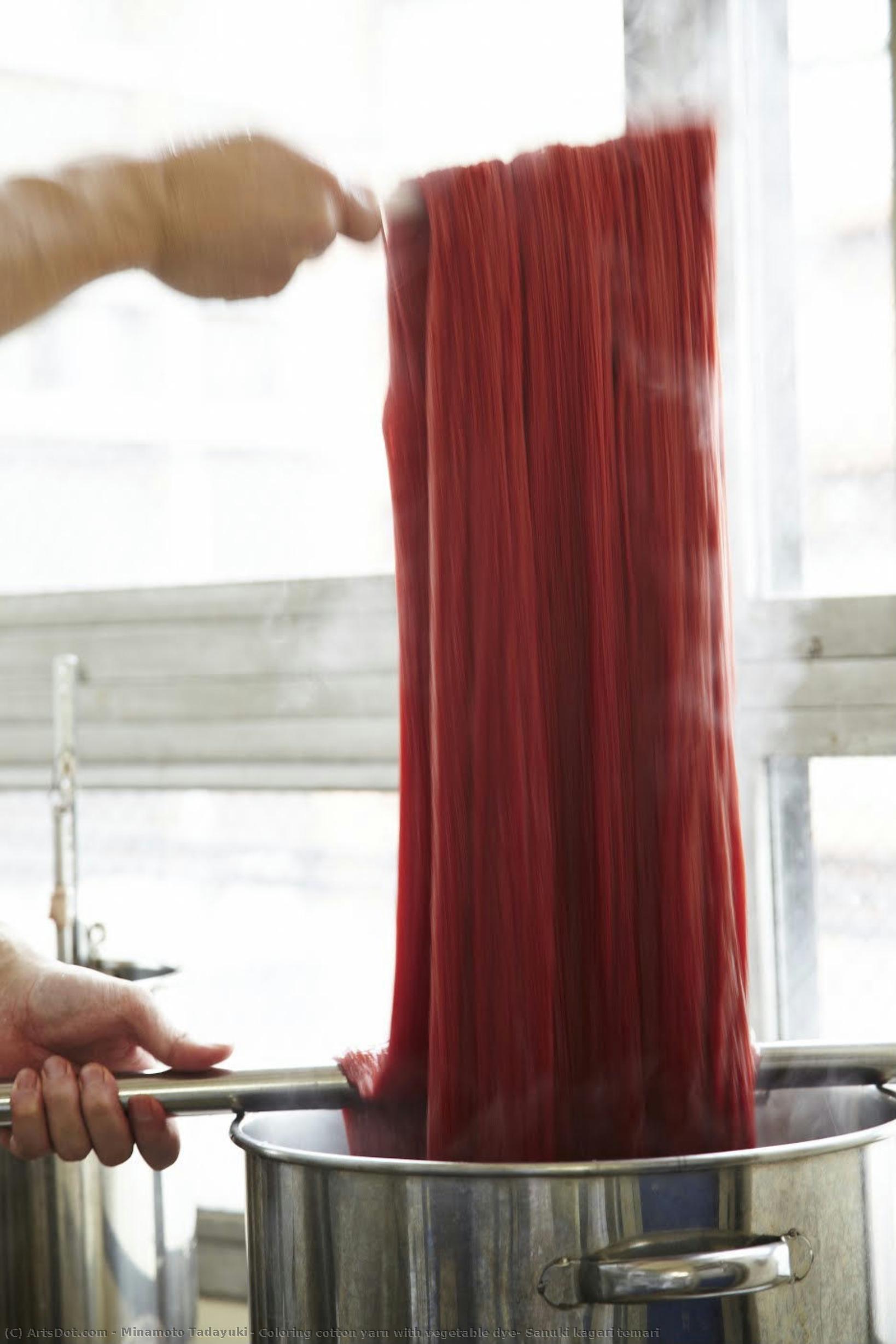 Coloring Cotton Yarn With Vegetable Dye, Sanuki Kagari Temari — Minamoto Tadayuki
