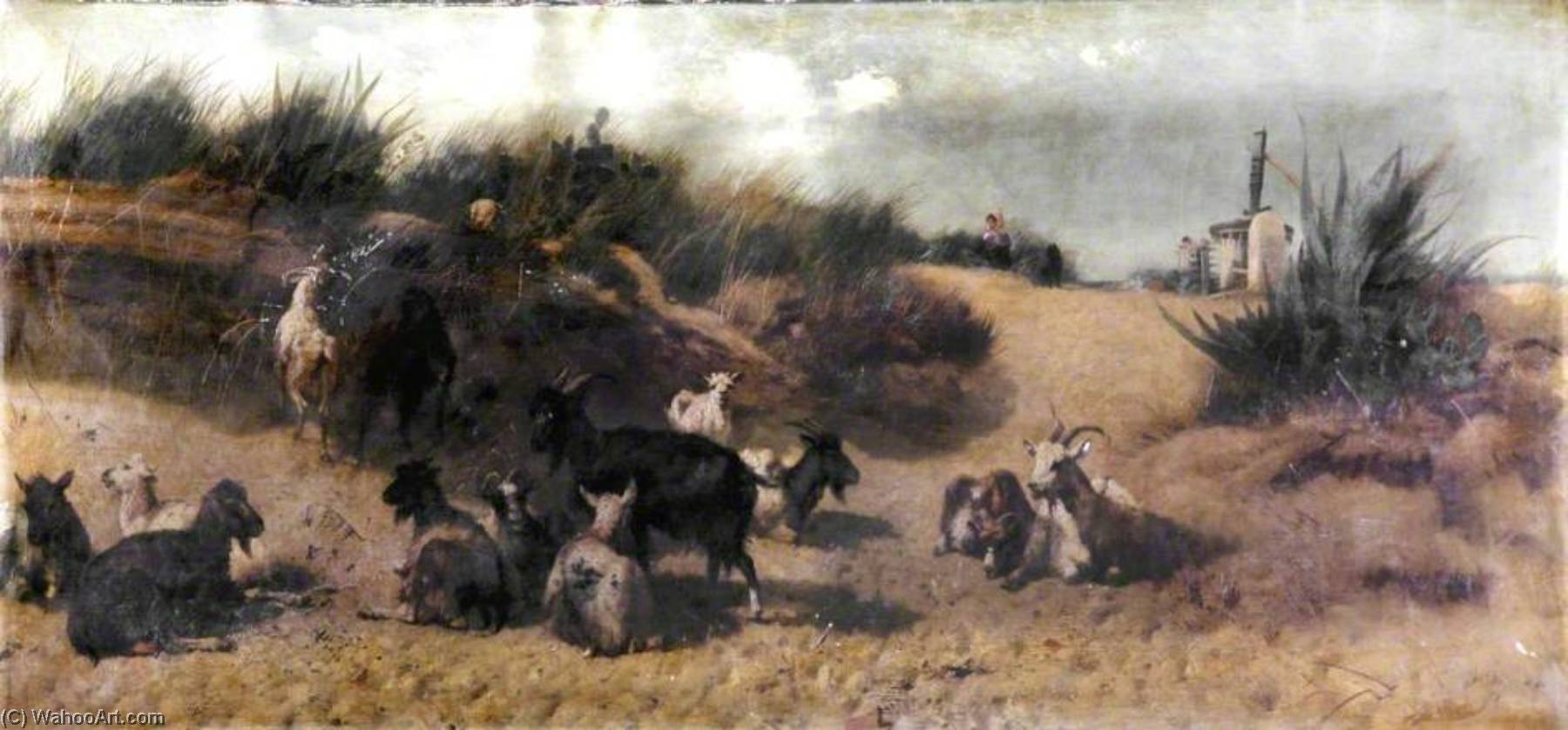 Goats, Outskirts Of Cádiz — Richard Beavis