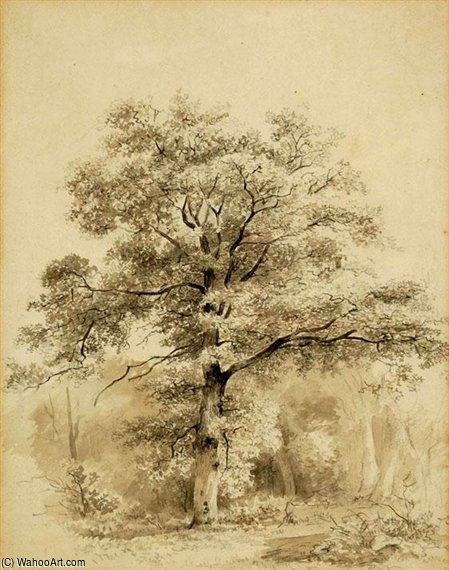Tree On A Country Road — Pol Jozef Konstantin Gabrijel