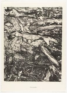 The Sharks (les Squales) From The Portfolio Waters, Stones, Sand (eaux, Pierres, Sable) From Phenomena (les Phénomènes) — Jean Philippe Arthur Dubuffet